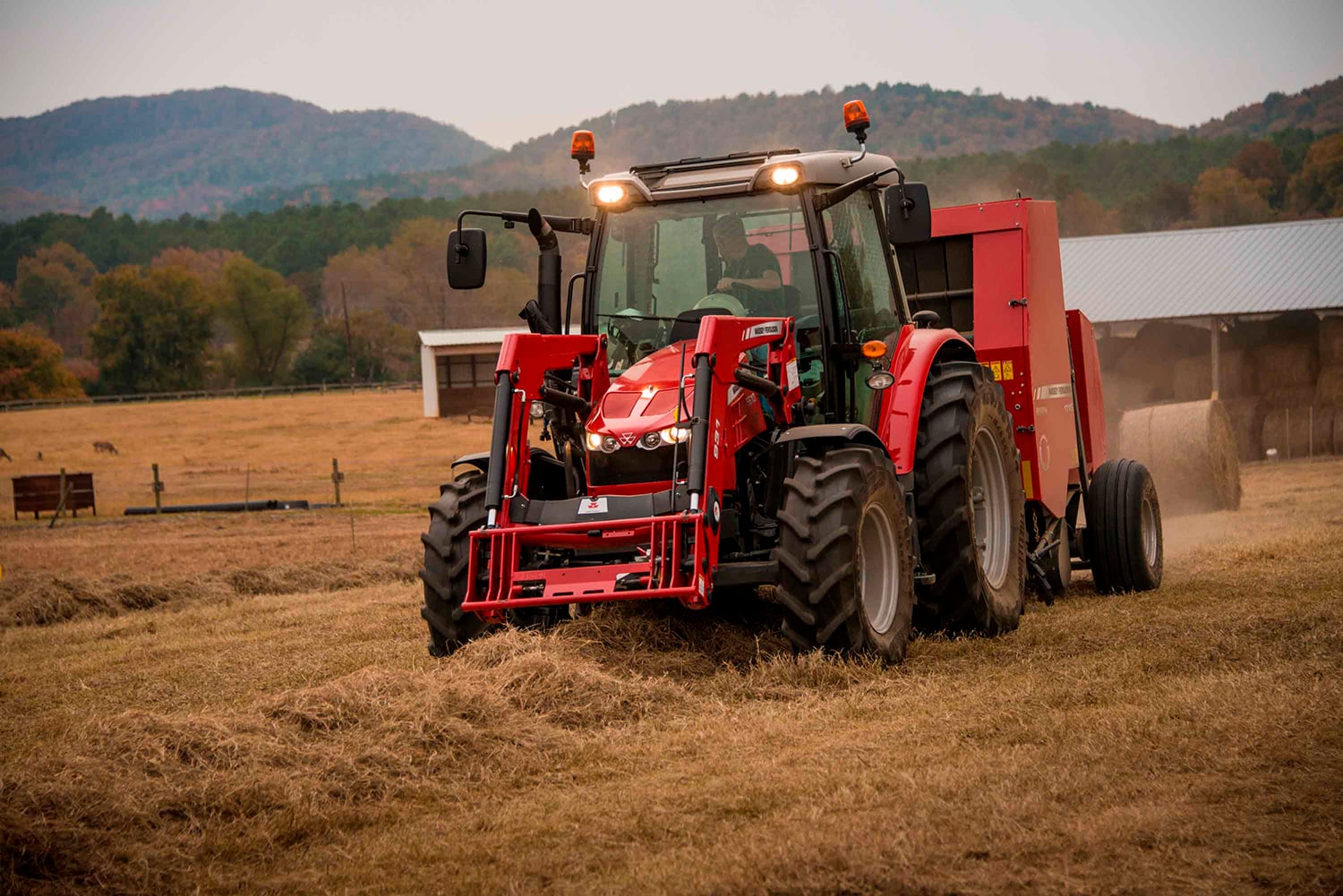 Massey Hay and Forage